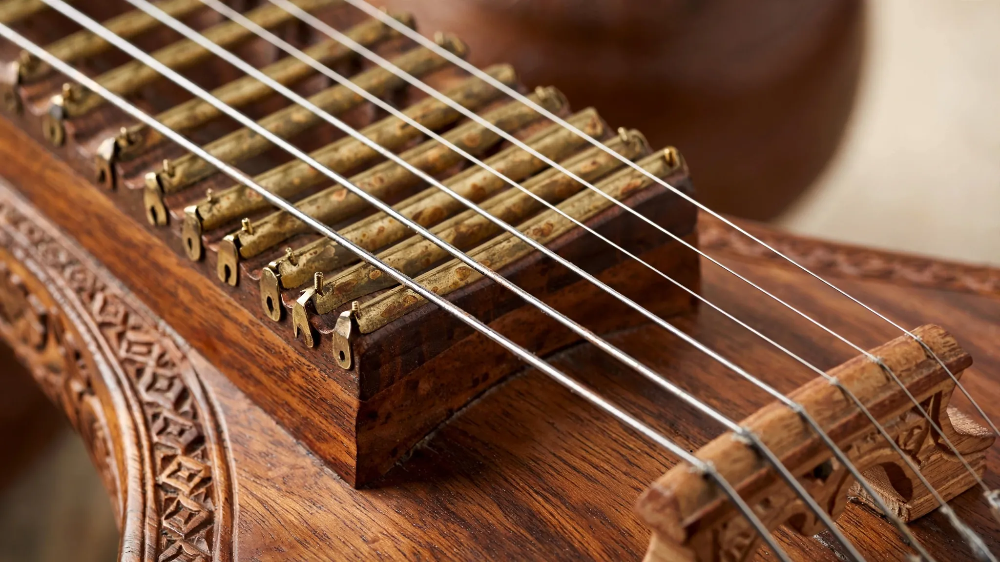 Veena strings frets and fingerboard for technical learning